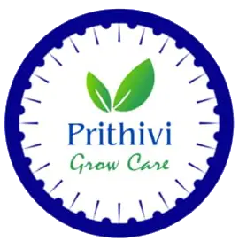 WhatsApp Image 2026-01-30 at 16.38.06